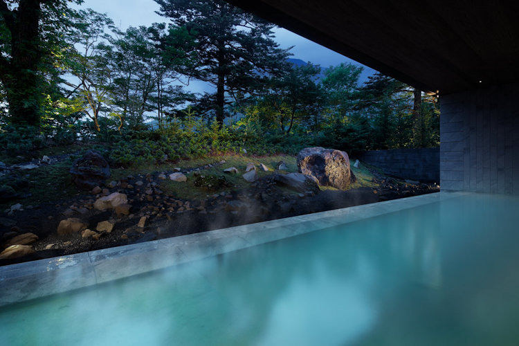 Ritz Carlton Tochigi wellness 